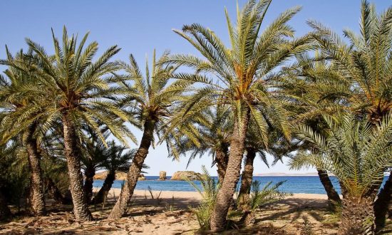 Vai Beach Eastern Crete